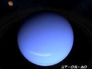 images_245
